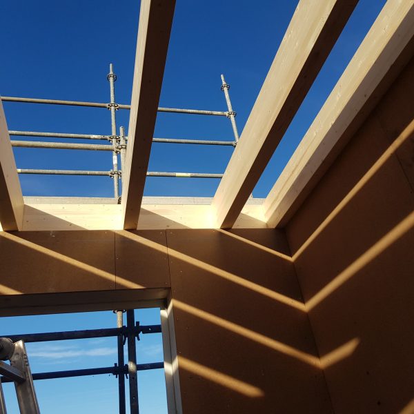 ESTRUCTURA ENTRAMADO LEMOA